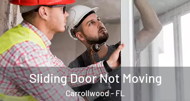  Sliding Door Not Moving Carrollwood - FL
