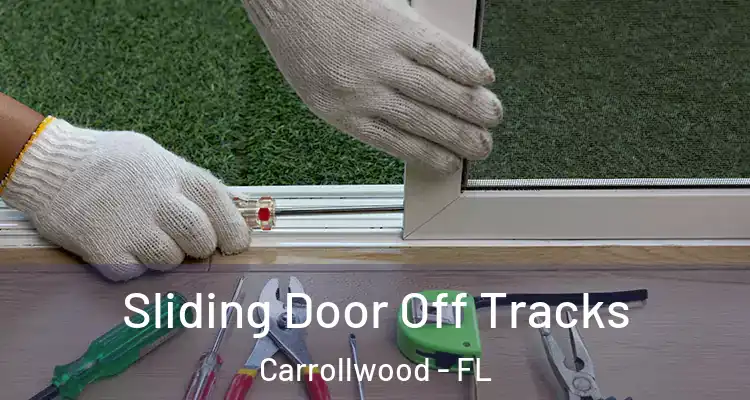  Sliding Door Off Tracks Carrollwood - FL