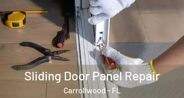  Sliding Door Panel Repair Carrollwood - FL