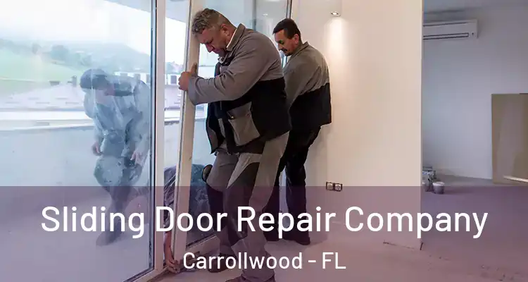  Sliding Door Repair Company Carrollwood - FL