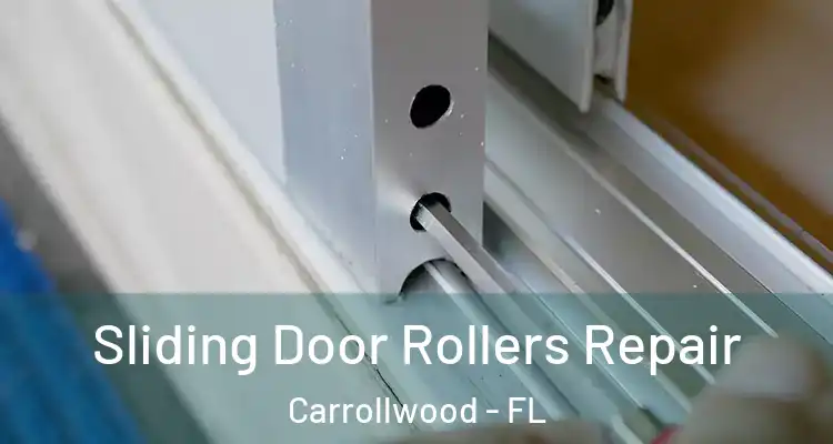  Sliding Door Rollers Repair Carrollwood - FL