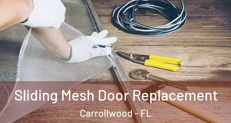  Sliding Mesh Door Replacement Carrollwood - FL