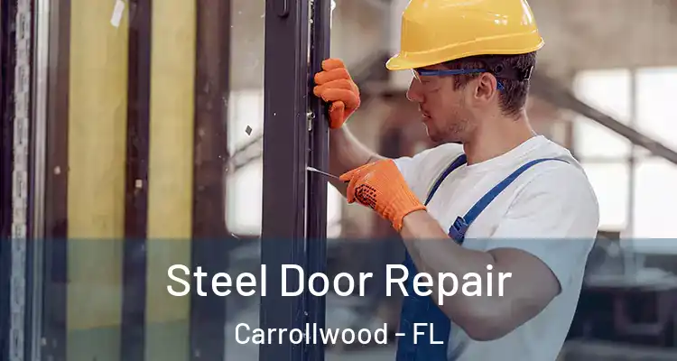  Steel Door Repair Carrollwood - FL