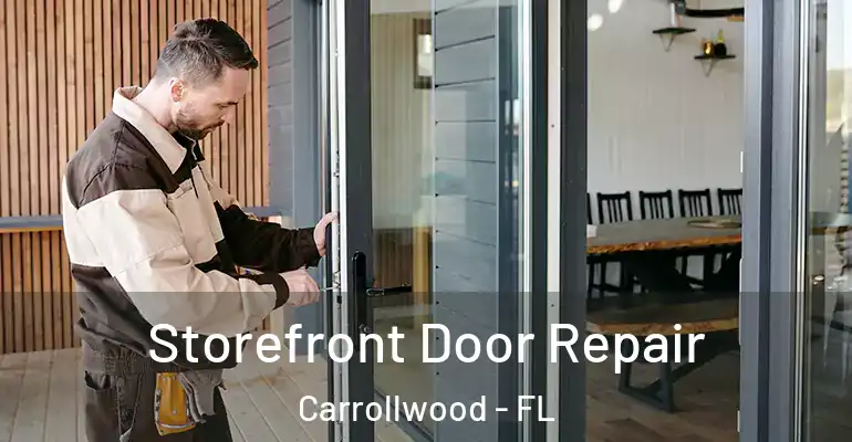  Storefront Door Repair Carrollwood - FL