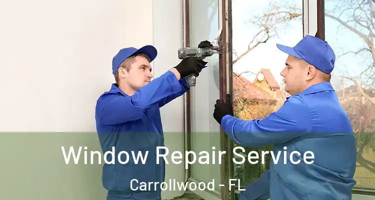  Window Repair Service Carrollwood - FL